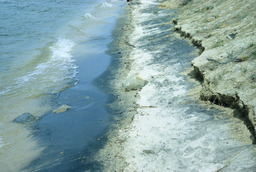Water quality at El Dorado County Beach, looking East, 1965
