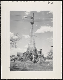 Aermotor windmill covered in foliage at bottom, copy 2