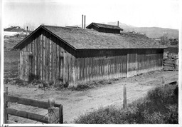 Dairy Department Shed, 1920