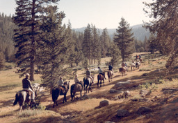 Donner Trail Guest Ranch