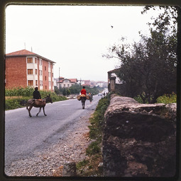 Men riding donkeys on street