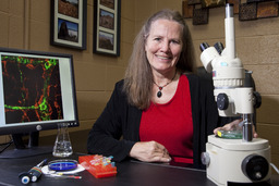 Faculty, Physiology and Cell Biology Professor Kathleen Keef, 2010