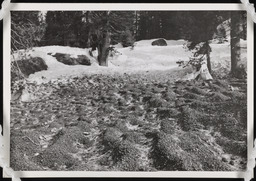 Ripple marks on gravel covered snow, copy 4
