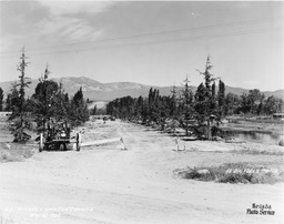 Idlewild Park near the Truckee River, Reno, Nevada, May 27, 1925
