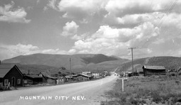 Mountain City, Nevada