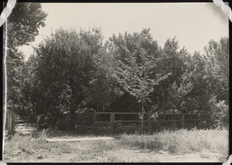 Dr. Church's orchard with weather equipment 