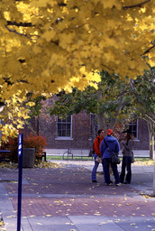 Students on campus, fall 2003