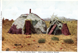 Piute Indian Wicki-up, Nevada