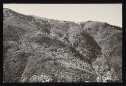 Site of avalanche on Mount Murray, copy 1