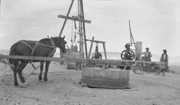 Men using a horse to pump water in Nevada, circa 1900