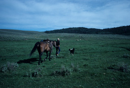 Rancher Leads Horse