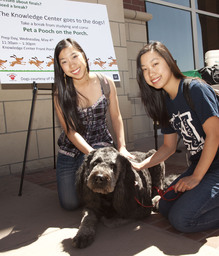 Mathewson-IGT Knowledge Center, "UNR goes to the dogs," 2011