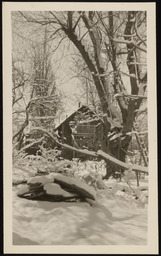 Dr. Church's home and surrounding trees covered with snow