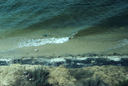 Water quality at El Dorado Beach, looking North, 1965