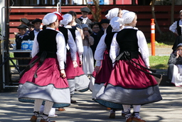 Basque dancers spinning in two lines