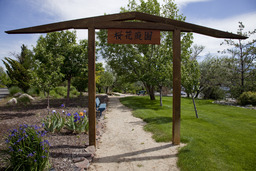 Cherry Blossom Garden, 2010