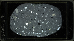Thin section 56NC59, rhyolite (polarized)