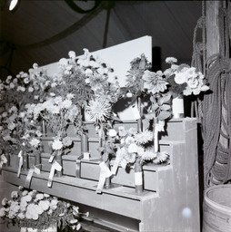 Washoe County Fair Flower Show