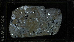 Thin section 56NC308, rhyolite (polarized)