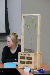 Tree of Gernika before its planting