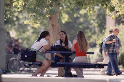 Students on campus, 2000