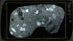 Thin section 56NC4 , rhyolite (polarized)