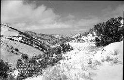 Winter on Carroll Summit, U.S. 50 Nevada, circa 1940s