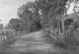 View of old road to Pyramid Lake, Nixon