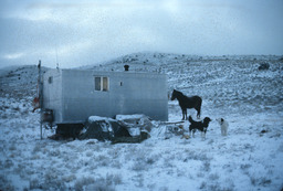 Sheepherder's winter camp