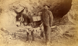 Donkey and miner