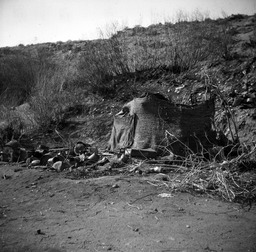 Cloth-covered wickiup