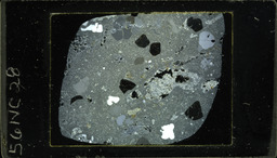Thin section 56NC28, rhyolite (polarized)
