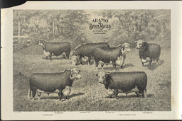 Poster showing some of the Hereford bulls owned by John Sparks