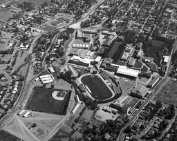 Aerial view of campus, 1964