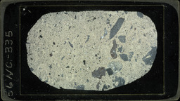 Thin section 56NC335, tuffaceous limestone (polarized)
