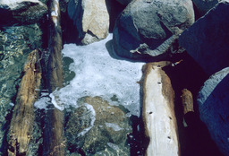 Water quality at Zephyr Cove, 1965