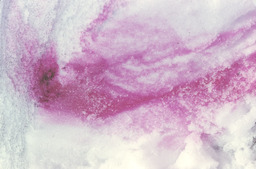 Dye formation in hoarfrost snow, slide 3