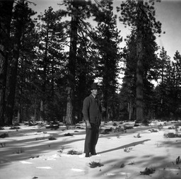Man standing in forest clearing