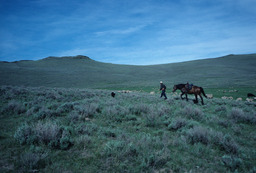 Rancher and Sheep on a Hillside