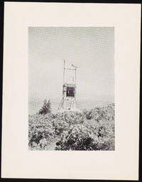 Thermometer and weather station with snow dusting