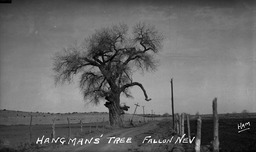 Hangman's Tree, Fallon, Nevada