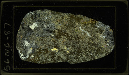 Thin section 56NC87, scheelite in tactite (polarized)