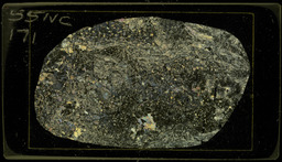 Thin section 55NC171, garnet - diopside tactite (polarized)