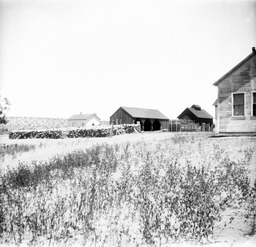 House and outbuildings