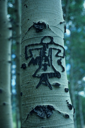 Arborglyphs
