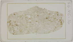 Thin section 56NC16, rhyolite