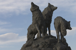 Mackay Stadium, wolf statue, 2005