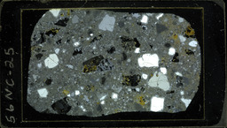 Thin section 56NC25, altered rhyolite (polarized)