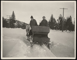 Women standing in horse drawn sled
