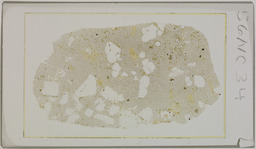 Thin section 56NC34, argillized rhyolite